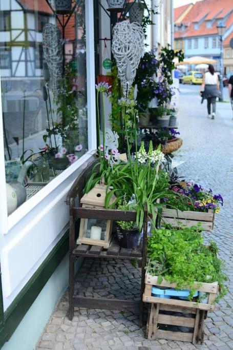 Schoene Ferienwohnung Mit Zwei Schlafzimmern Quedlinburg Ngoại thất bức ảnh